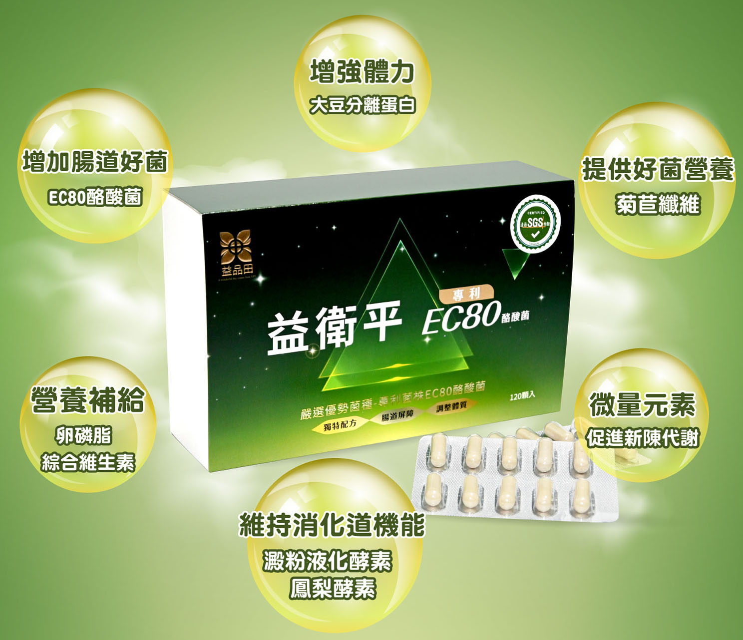 益衛平 EC80酪酸菌