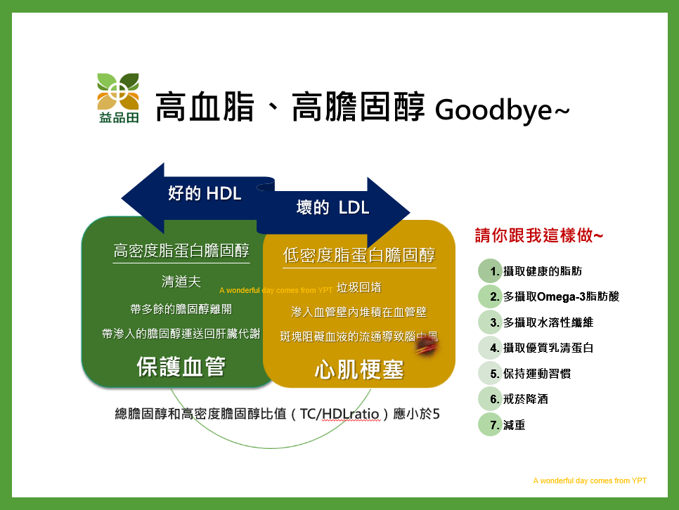 膽固醇是什麼